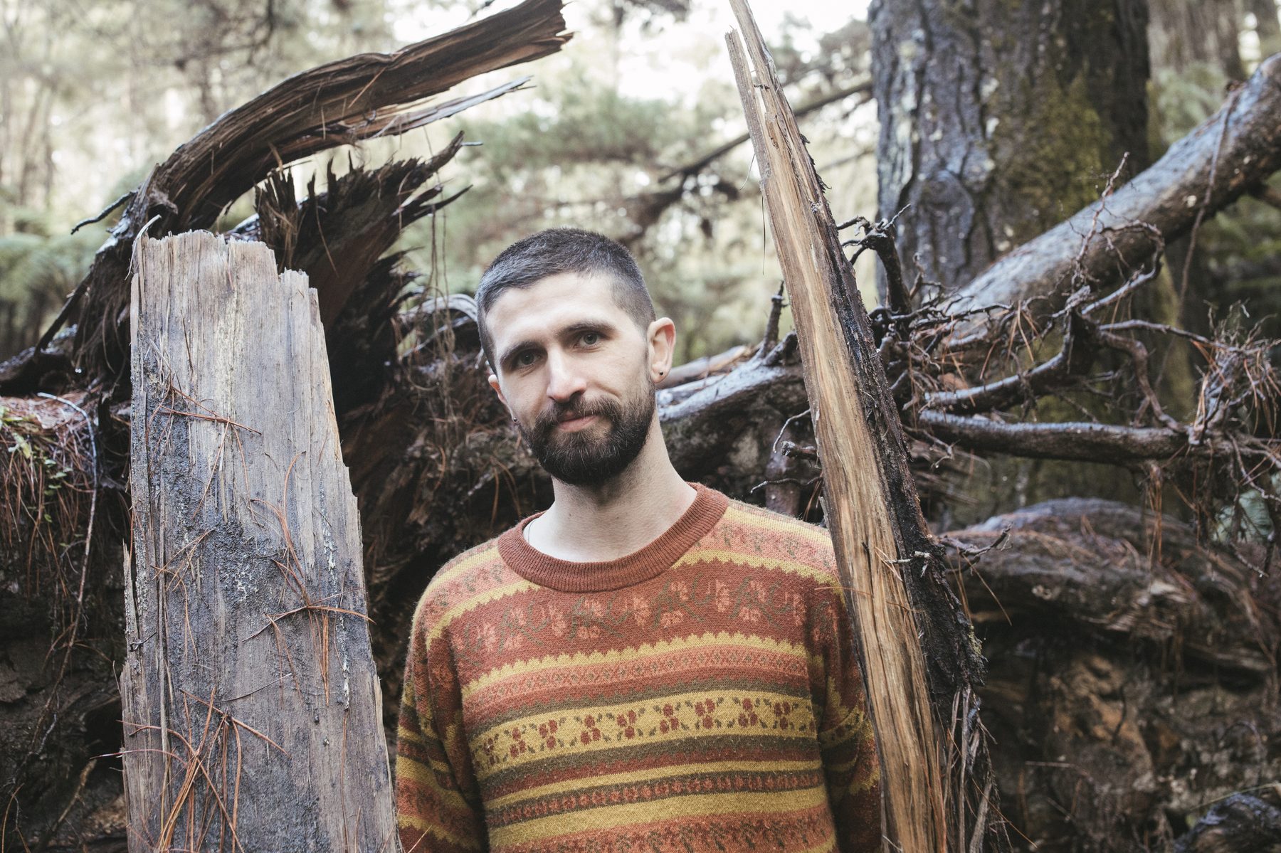 Jacob in the forest
