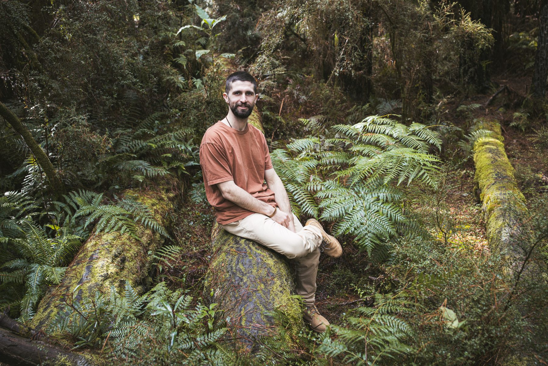 Jacob in the forest