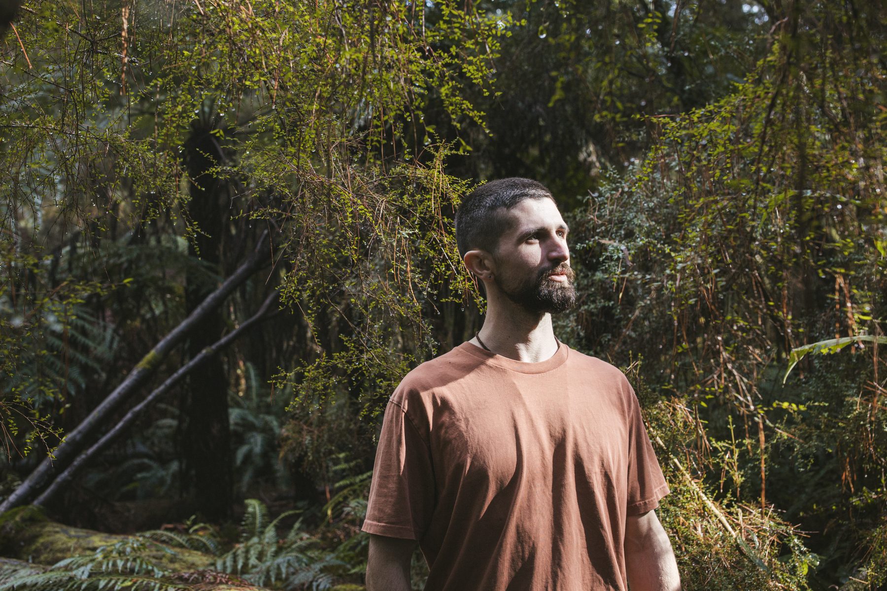 Jacob in the forest