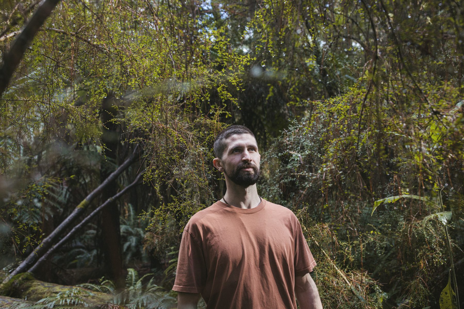 Jacob in the forest