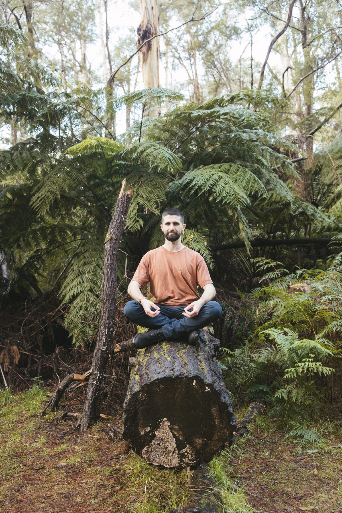 Jacob in meditation