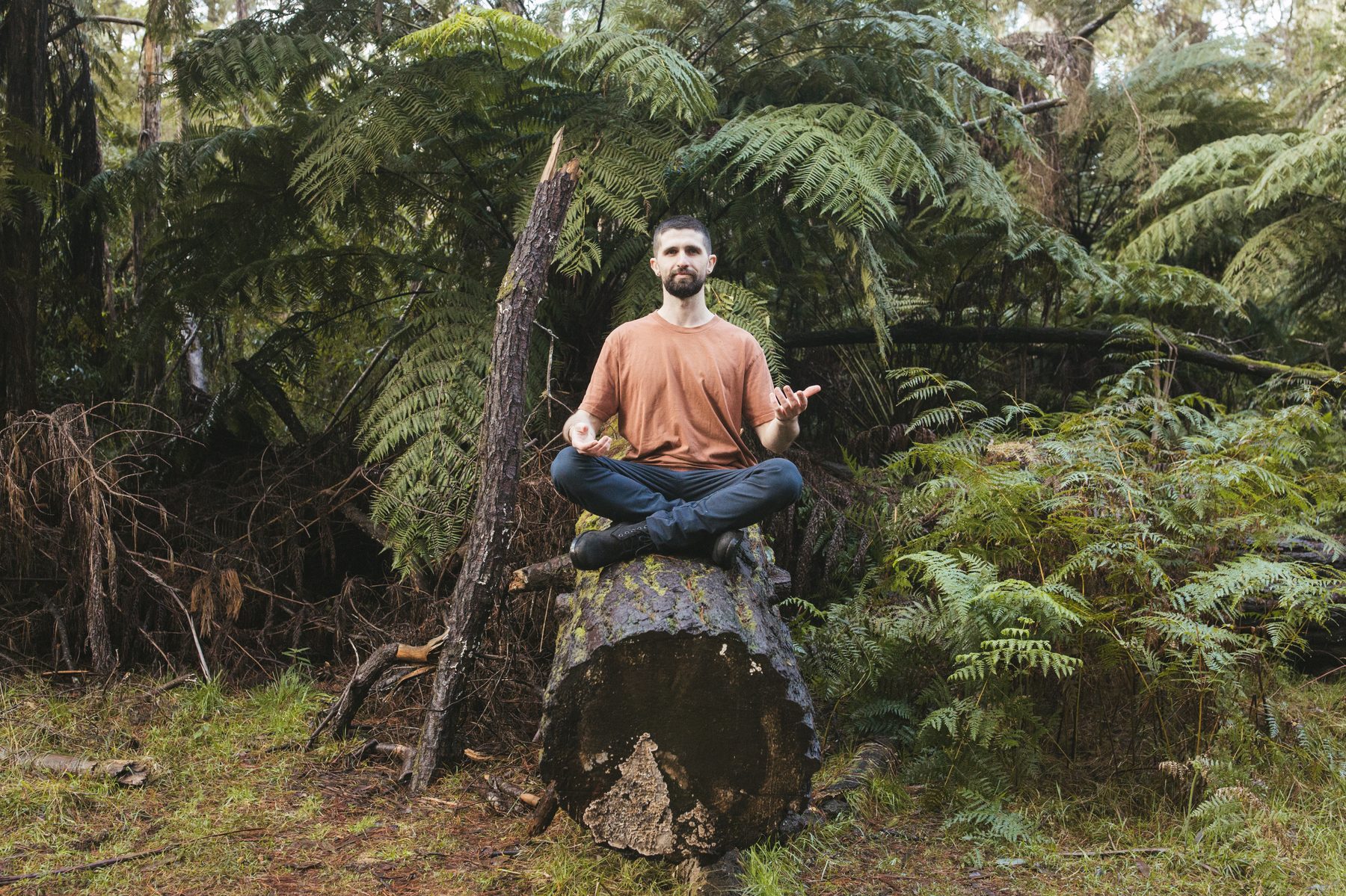Jacob in meditation