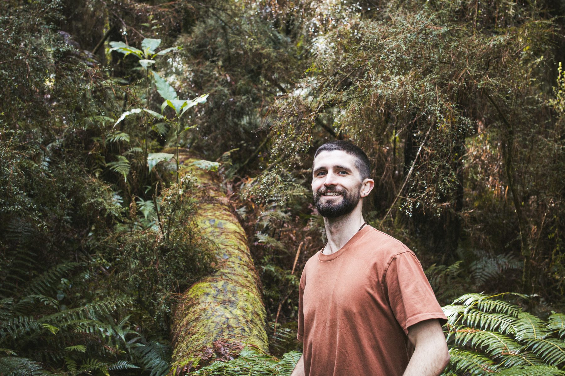 Jacob settled in nature