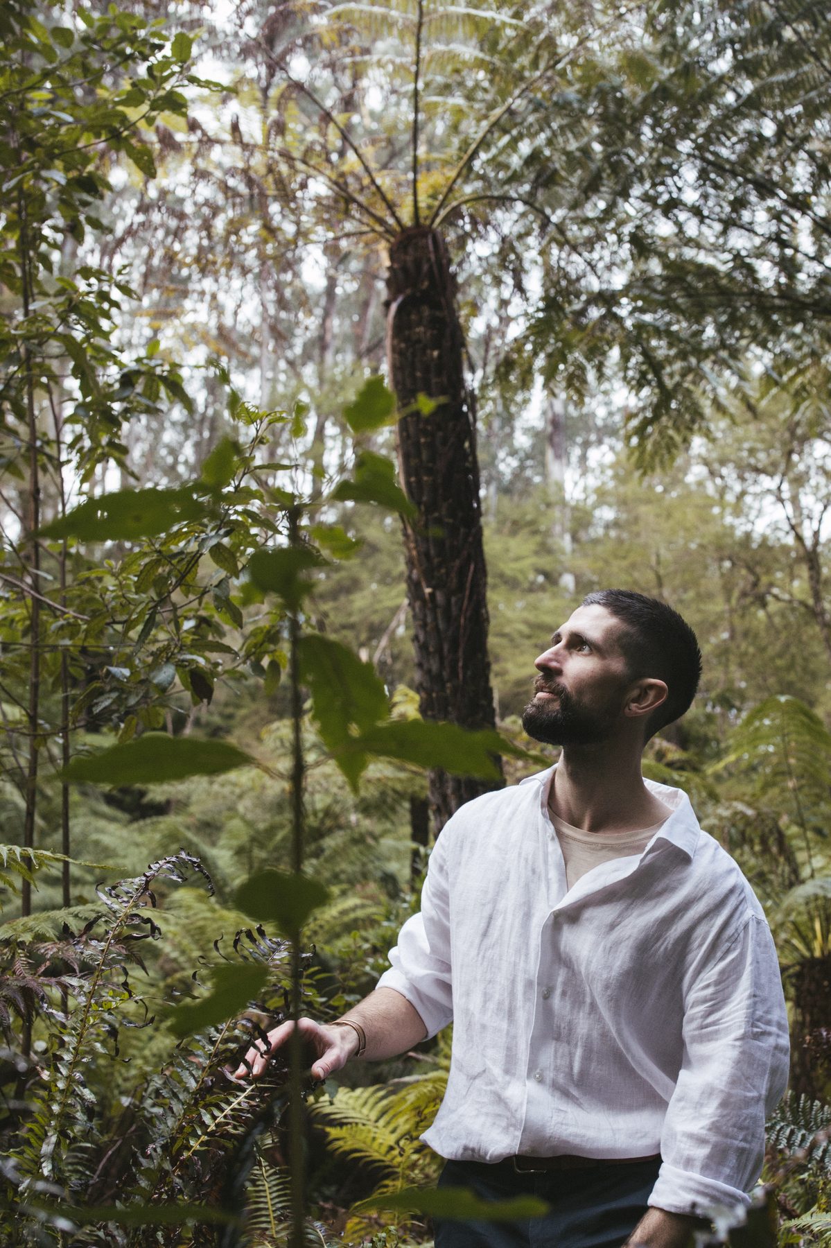 Jacob in the forest